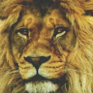 Meet your Posher, Maximiliano